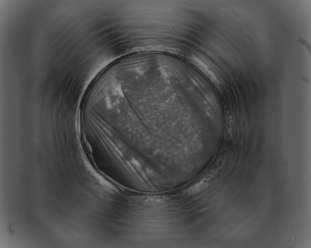 X0000091361084200709071257