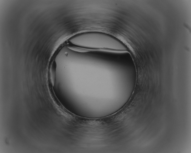 X0000091361085200709071257