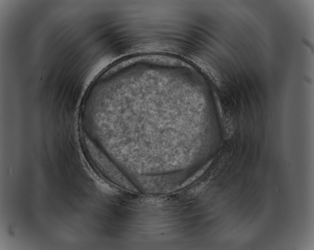 X0000091361086200709071257