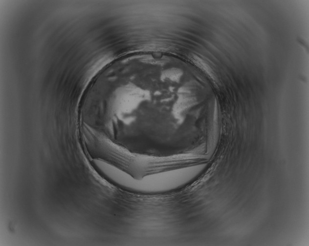 X0000091361087200709071257