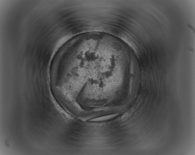 X0000091361088200709071257