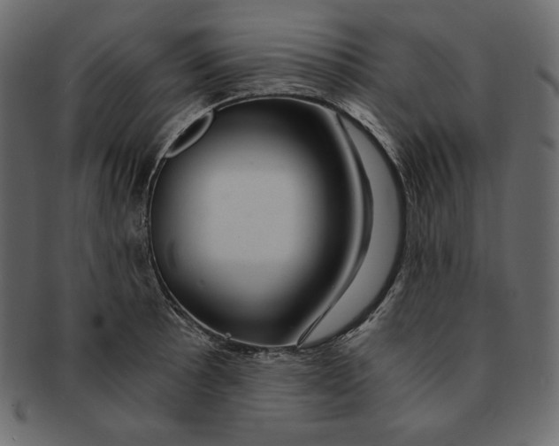 X0000091361089200709071257