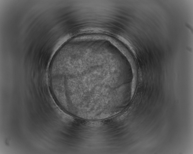 X0000091361090200709071257
