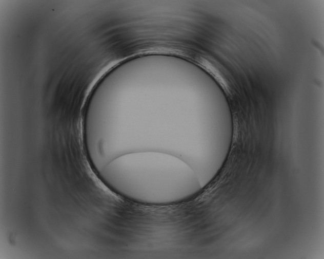 X0000091361092200709071257