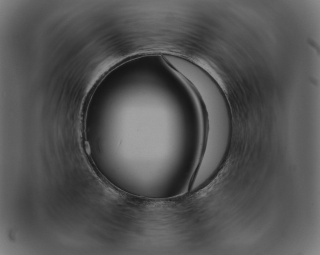 X0000091361093200709071257