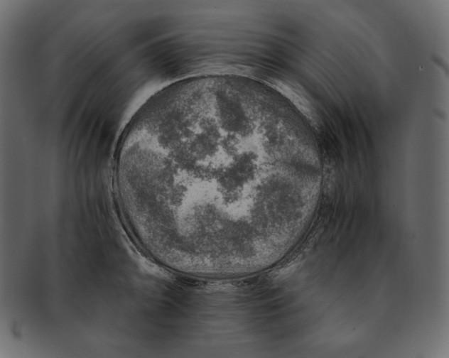 X0000091361094200709071257