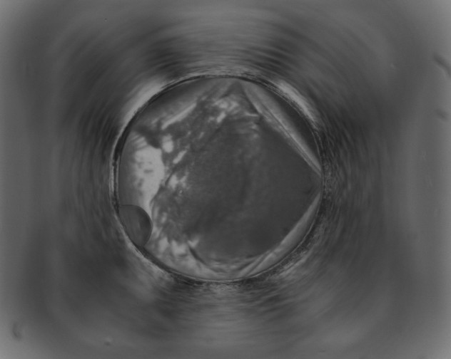 X0000091361095200709071257