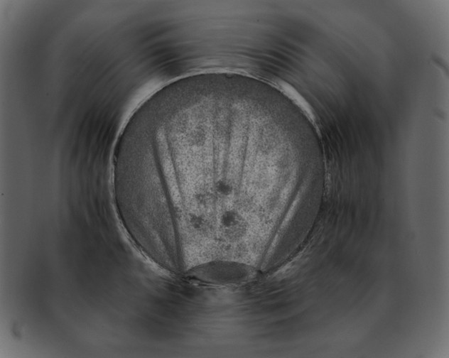 X0000091361096200709071257