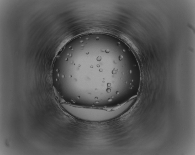 X0000091361097200709071257