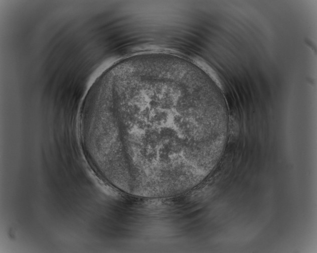 X0000091361098200709071257