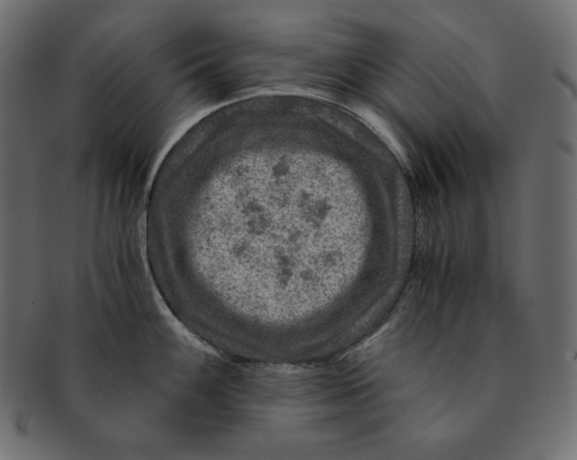 X0000091361100200709071257