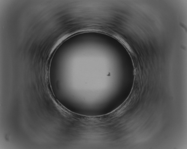 X0000091361101200709071257