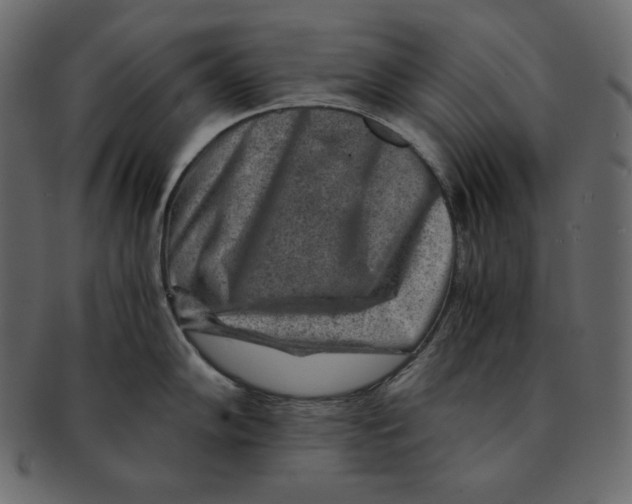 X0000091361102200709071257