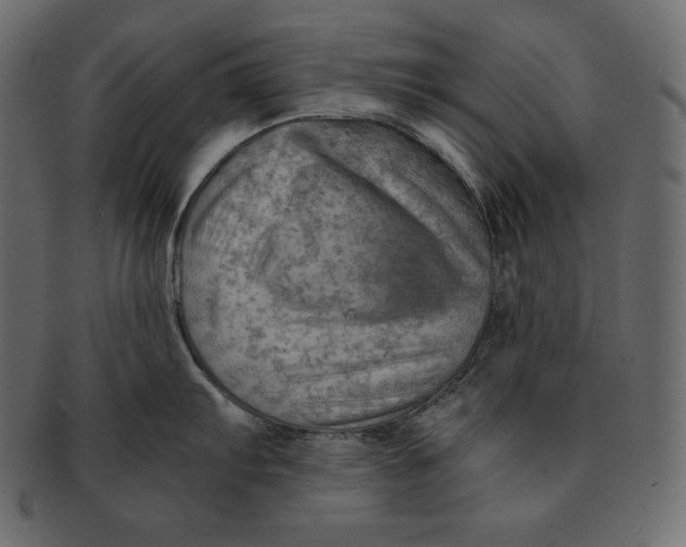 X0000091361103200709071257