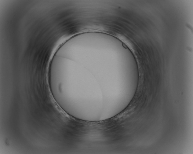 X0000091361104200709071257