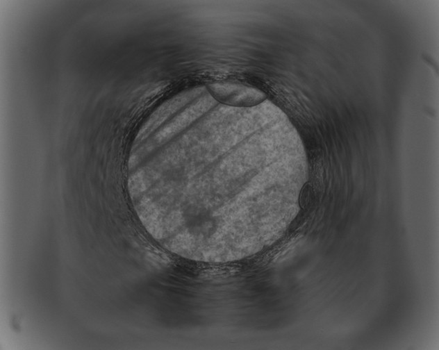 X0000091361105200709071256