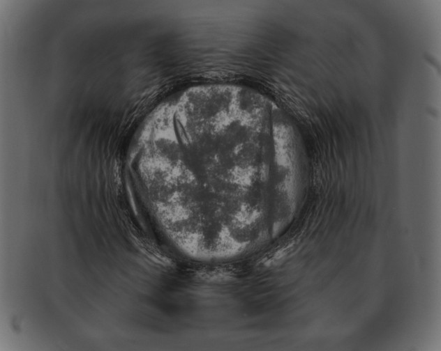 X0000091361106200709071256