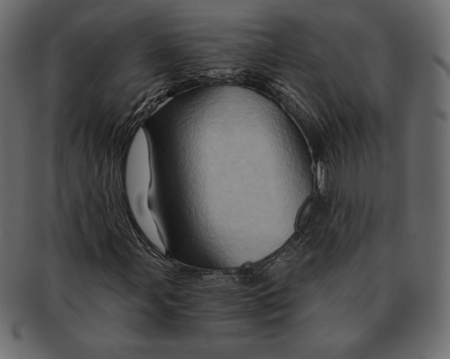 X0000091361107200709071256