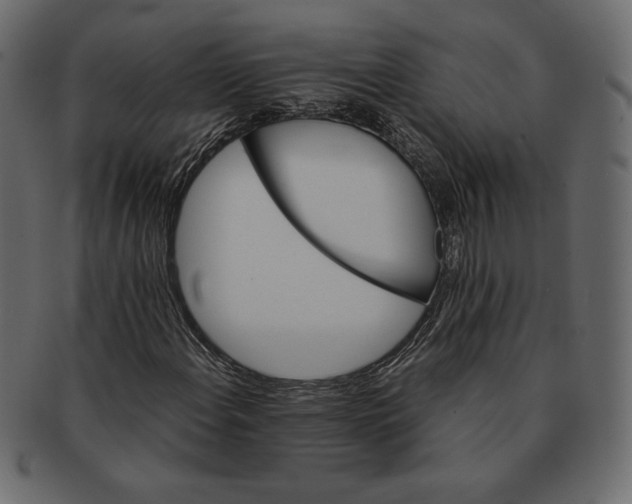 X0000091361108200709071256