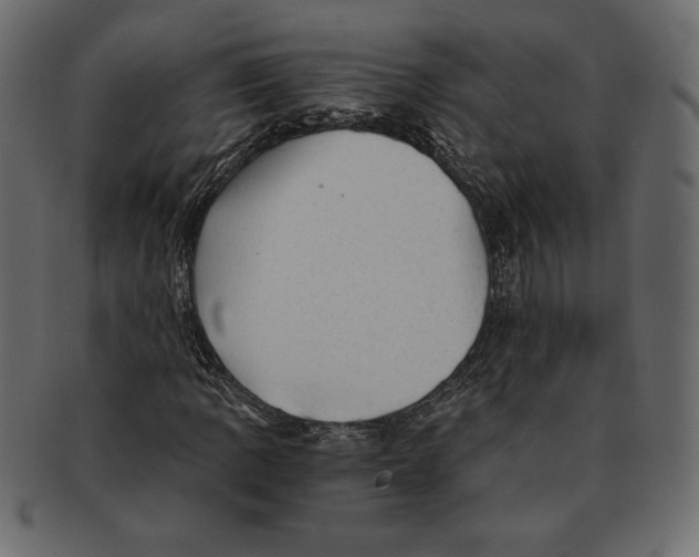 X0000091361109200709071256