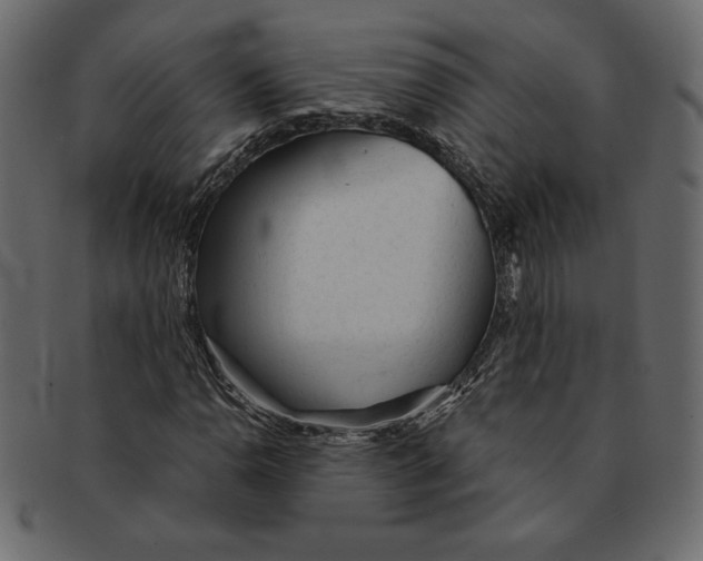 X0000091361110200709071256