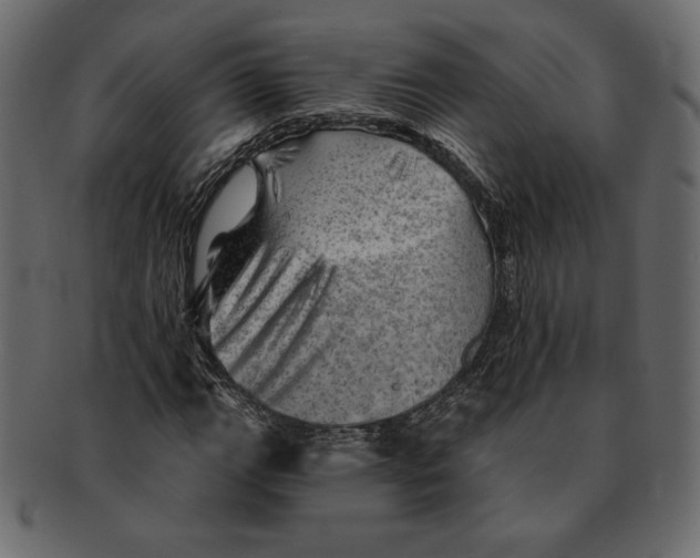 X0000091361111200709071256