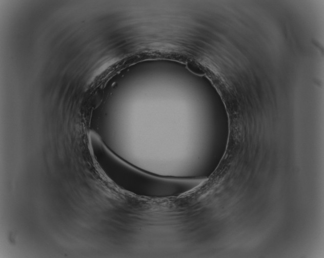 X0000091361112200709071257
