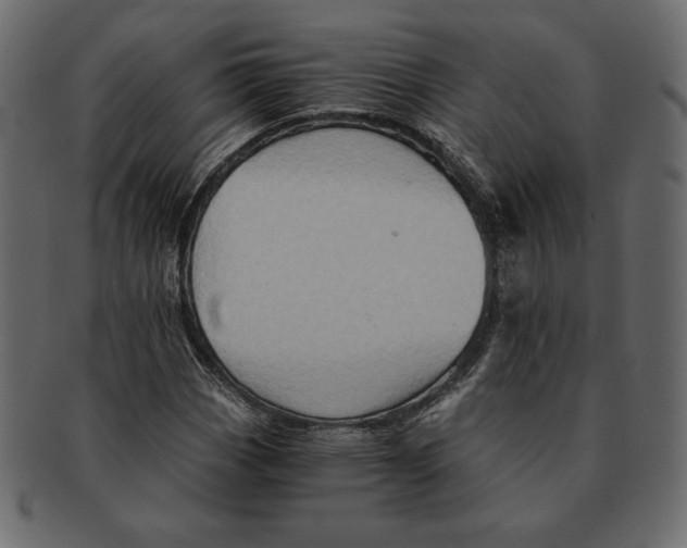 X0000091361113200709071257