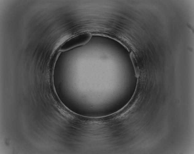 X0000091361114200709071257