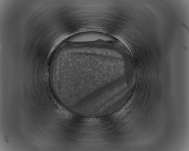 X0000091361115200709071257