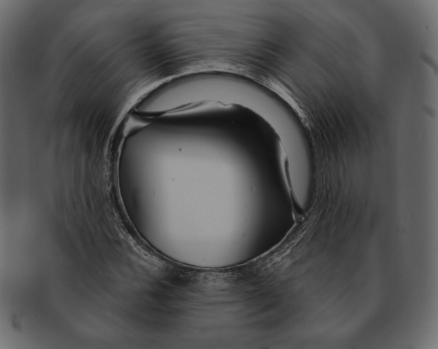 X0000091361116200709071257