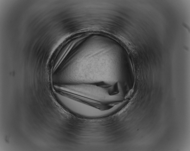 X0000091361118200709071257