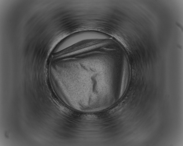 X0000091361119200709071257