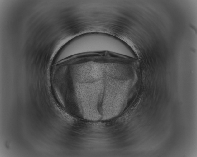X0000091361120200709071257