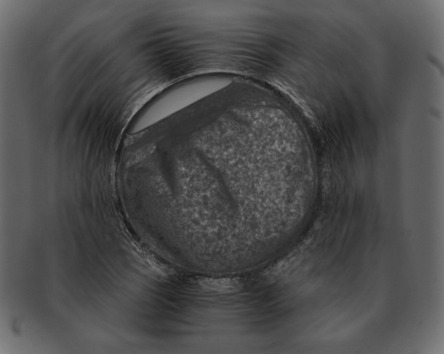 X0000091361121200709071257
