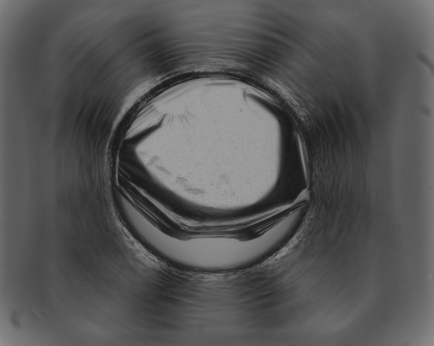X0000091361122200709071257