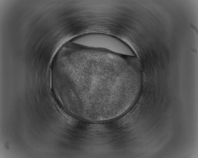X0000091361123200709071257