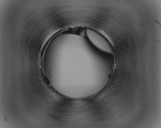 X0000091361124200709071257