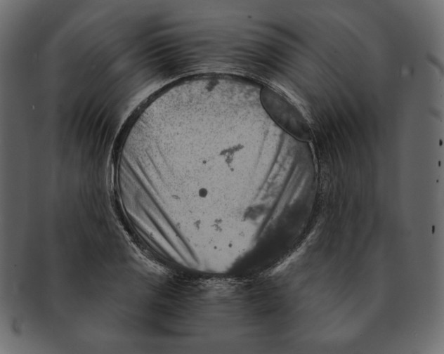 X0000091361125200709071257
