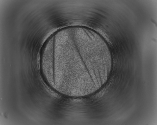 X0000091361126200709071257