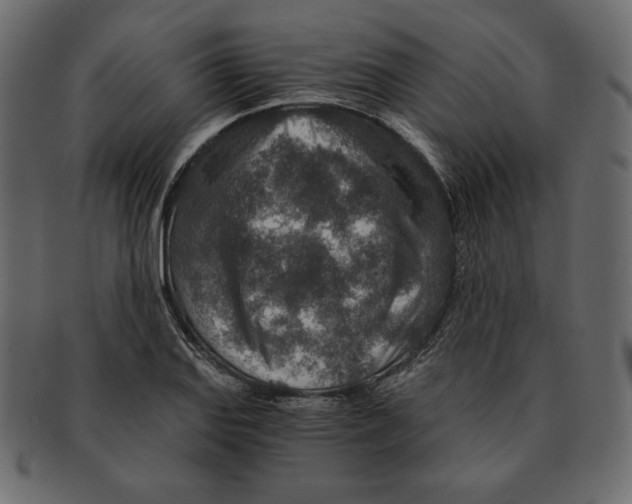 X0000091361127200709071257