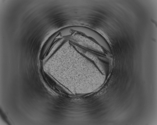 X0000091361128200709071257