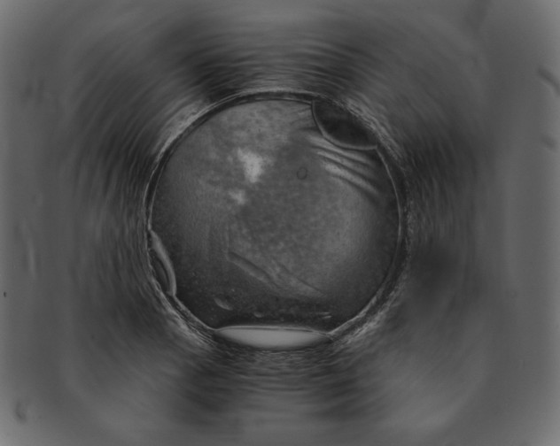 X0000091361129200709071257