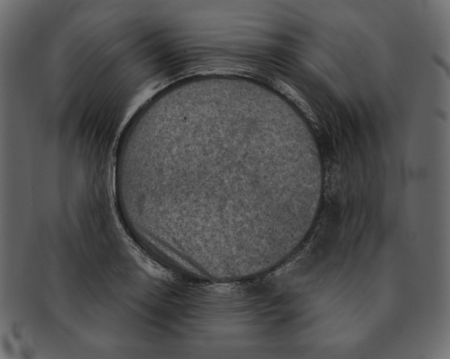 X0000091361130200709071257