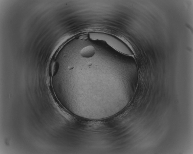 X0000091361131200709071257