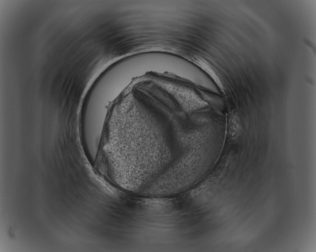 X0000091361132200709071257