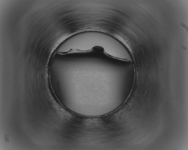 X0000091361133200709071257
