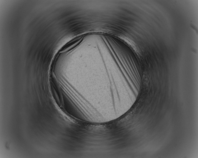 X0000091361135200709071257