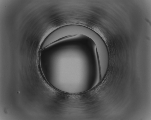 X0000091361136200709071257