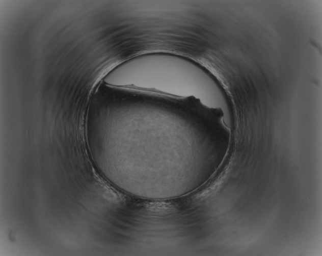 X0000091361137200709071257